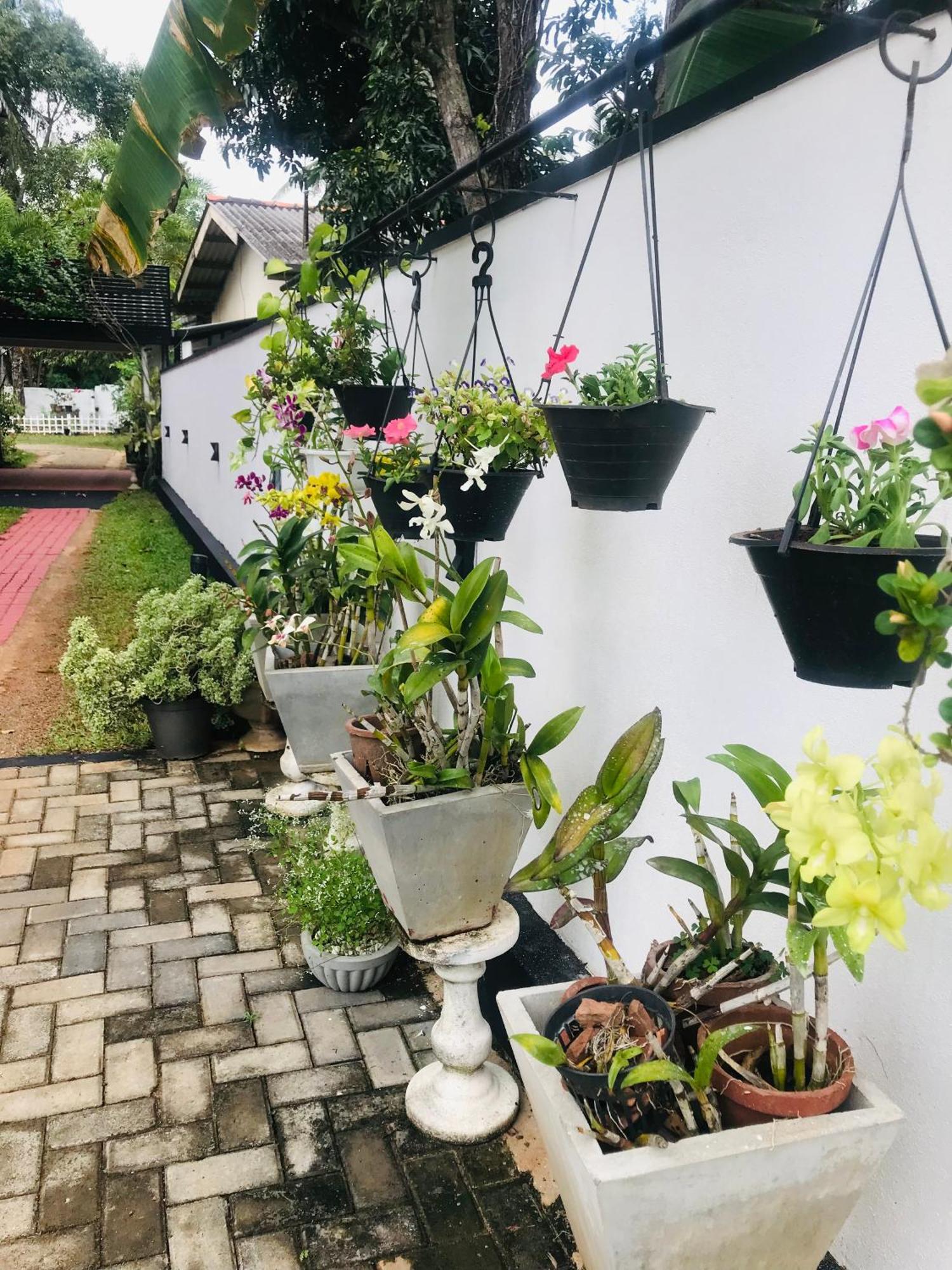 Pinidiya Resort Anuradhapura Exterior foto